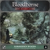 Combo Bloodborne: The Board Game + 4 expansion