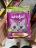 Pate whiskas adult