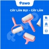 Cây lăn bụi - PAWO