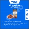 Snack mềm cho mèo CattyMan - PAWO