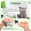 SPVS - Uống khử mùi và bảo vệ răng miệng Pet Green