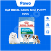Hạt Royal Canin Mini PUPPY & ADULT - PAWO