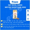 Hạt Royal Canin British Shorthair