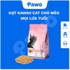 Hạt Kawaii Cat cho mèo mọi lứa tuổi