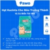 Hạt Kucinta Cho Mèo Mọi Lứa Tuổi PAWO