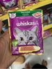 Pate whiskas adult