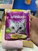 Pate whiskas adult