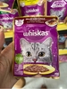 Pate whiskas adult