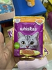 Pate whiskas adult