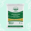Bột năng Double Bear Thái Lan 500g