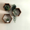 Kệ trưng bày tổ ong treo tường gỗ MDF cỡ lớn, có phụ kiện lắp đi kèm
