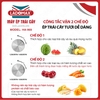 may-ep-trai-cay-cong-nghiep-cong-suat-lon-1860w-ladomax-ha-969-chuyen-ep-do-cung