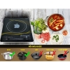 bep-tu-cam-ung-cao-cap-apechome-aph-bt2020-bep-dien-tu-don-apechome-cong-suat-20