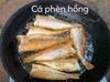Cá Hồng Phèn Một Nắng