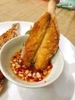 Cá Mối Một Nắng