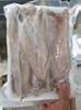 Cá Mối Một Nắng