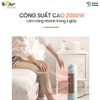 Quạt sưởi gốm Bear DNQ-C20B1