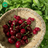 Cherry Nhập Khẩu – Trái Đỏ Mọng, Giòn Ngọt Tự Nhiên