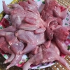 Chim Cút thịt loại to - Khay 10 con (700-900g/khay)