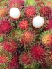 Chôm chôm Thái