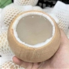 Dừa Xiêm gọt trọc Bến Tre (20 quả)
