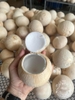 Dừa Xiêm gọt trọc Bến Tre (20 quả)