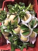 Hồng Xiêm Miền Tây