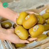 Kiwi Vàng New Zealand – Ngọt Thanh Mát, Giàu Dinh Dưỡng