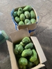 Mãng cầu Xiêm