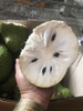Mãng cầu Xiêm