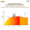 Máy pha cà phê tự động Bear CF-B02V1