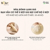 Máy nhào bột tự động 5L Bear DM- B50V1
