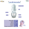 Máy xay 0.3L Bear GR-B03V2