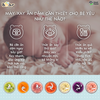 Máy xay 0.3L Bear GR-B03V2