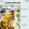 Máy Xay Sinh Tố Cầm Tay Bear BL-B35V1