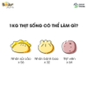 Máy xay đa năng Bear QSJ-C04R8S
