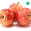 Táo Nam Phi – Giòn Ngọt Tự Nhiên, Tươi Mát Mỗi Ngày