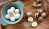 Trứng Chim Cút Tươi - hàng mới tươi ngon (giao ngay tại Hà Nội)