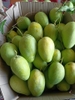 Xoài tứ quý
