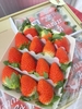 Dâu tây Hàn Quốc Joy Farm