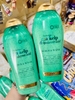 Sữa tắm OGX Hydration+ Sea Kelp&Hyaluronic Acid 577ml