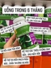 Viên uống bổ não Ginkgo Biloba 120mg Trunature 340v