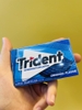 Kẹo Cao Su Trident Không Đường Original (Vỉ 14 Miếng)