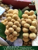 BÒN BON THÁI LAN