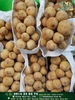 BÒN BON THÁI LAN