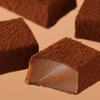 SOCOLA TƯƠI NAMA CHOCOLATE ROYCE (CAFE ROYCE)