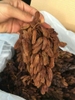 Nho Khô Nguyên Cành Úc