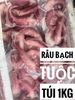 Râu Tuộc Đại Dương 1kg