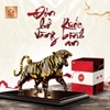 Rượu Con Hổ Vàng Doha