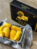 Sầu riêng Musang King Malaysia